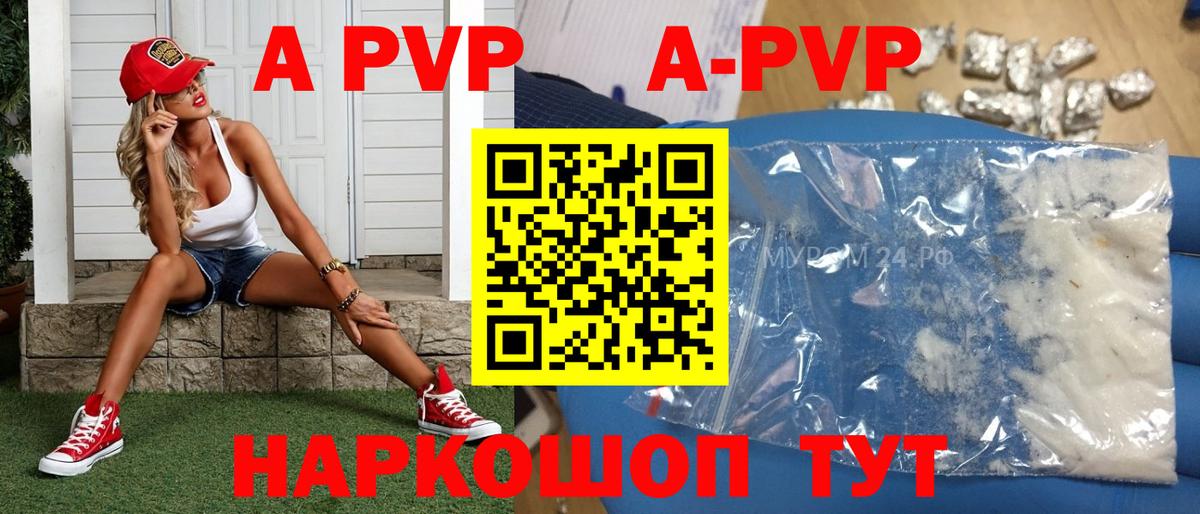 A PVP СК КРИС Электросталь