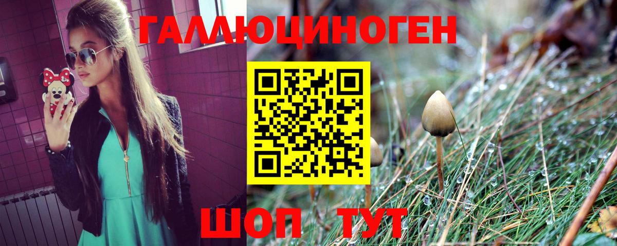 Галлюциногенные грибы Magic Shrooms  Вход с VPN  Электросталь  Псилоцибиновые грибы мицелий 