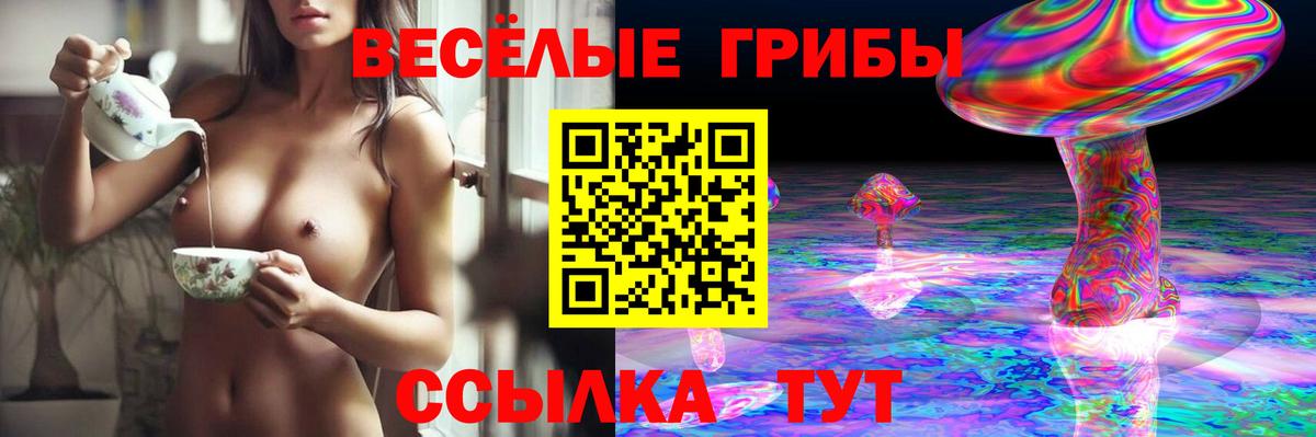 Псилоцибиновые грибы Cubensis Электросталь